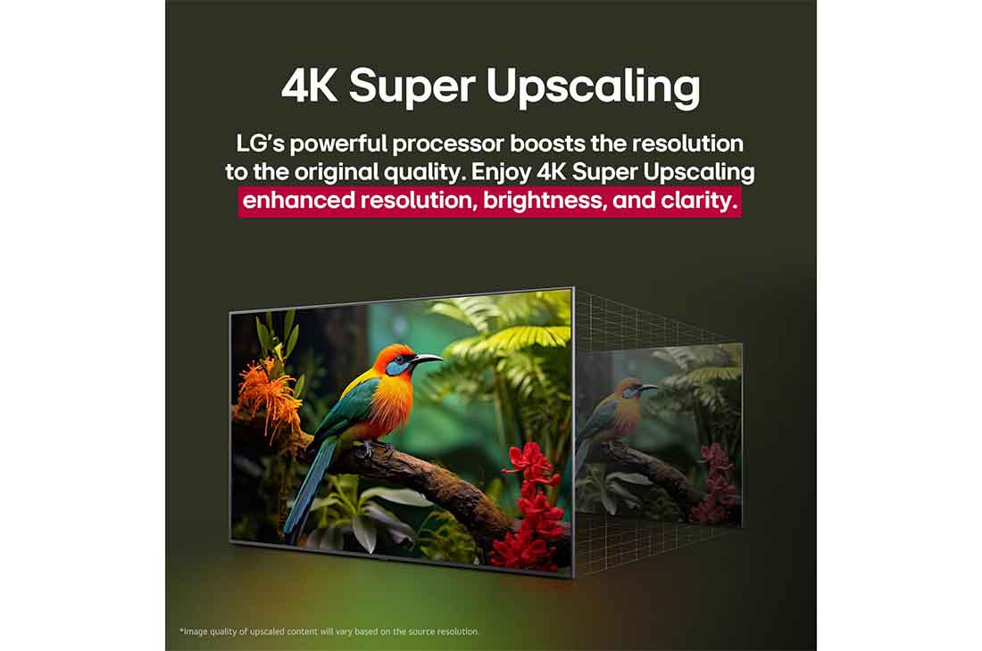 LG 65QNED70A6A 65" 3 LG television at an angle showing a bird photograph, illustrating 4K Super Upscaling from a smaller lower resolution image