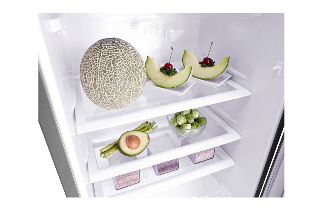 LG GN-Y331SLS 199L 1Door, Smart Inverter Compressor with Larger Capacity 6 Close-up of the glass shelves holding melon, avocado, asparagus and small containers